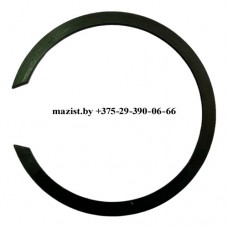 Кольцо 6DS100T-1701058