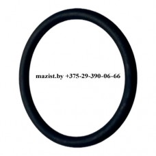 Кольцо 6JS160T-1709588-1