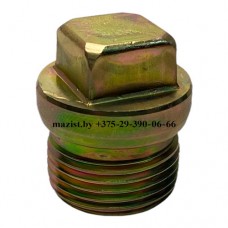 Пробка 6JS160T-1709587-1