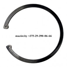 Кольцо 12JS160T-1701107