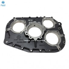 Крышка RTD-11609A-1707015