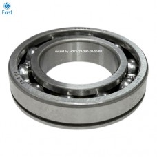 Подшипник 6210N