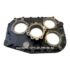 Крышка задняя F99975 