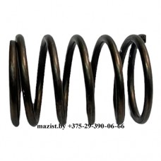 Пружина 12JS160T-1703027