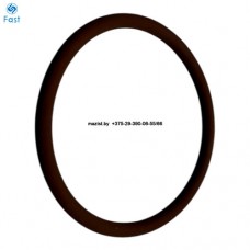 Кольцо 10667161 КПП SHAANXI FAST GEAR