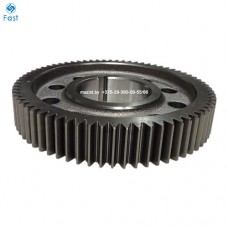 Шестерня 12JSDX240TA-1701052