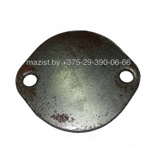 Крышка шкворня МАЗ-4380 FAW 3001047-8N